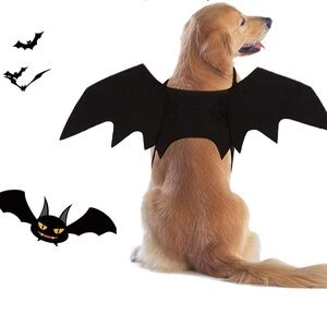 Halloween Pet costume- bat wings size: XL